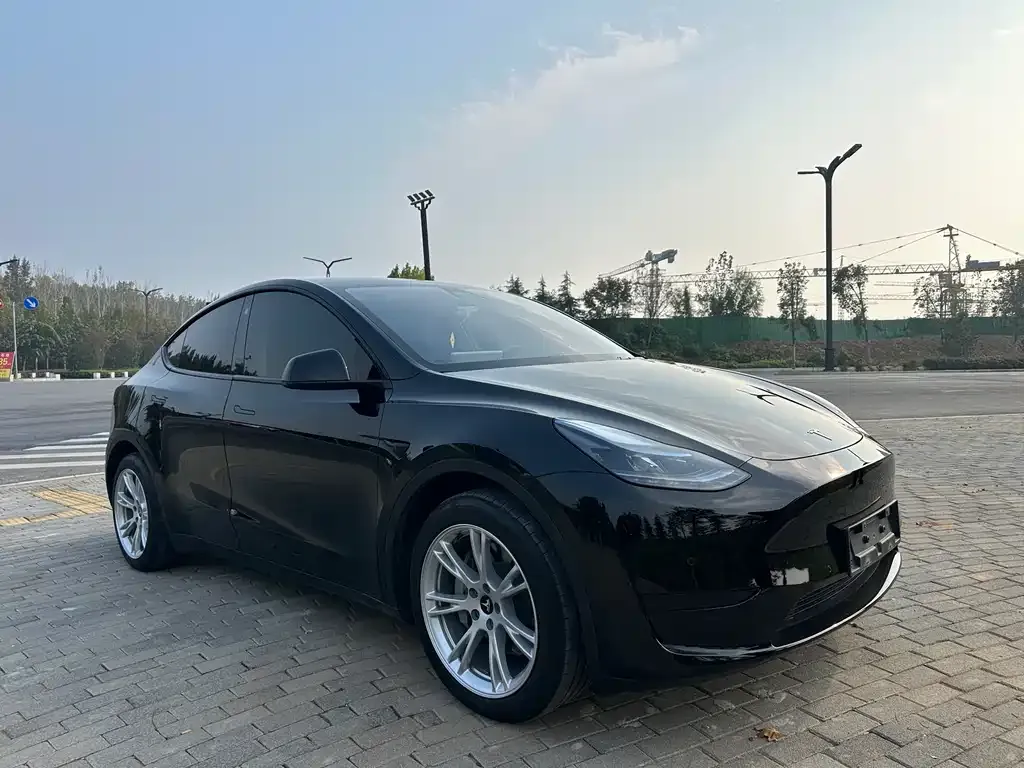 Tesla Model Y 2023 из CN, фото 3