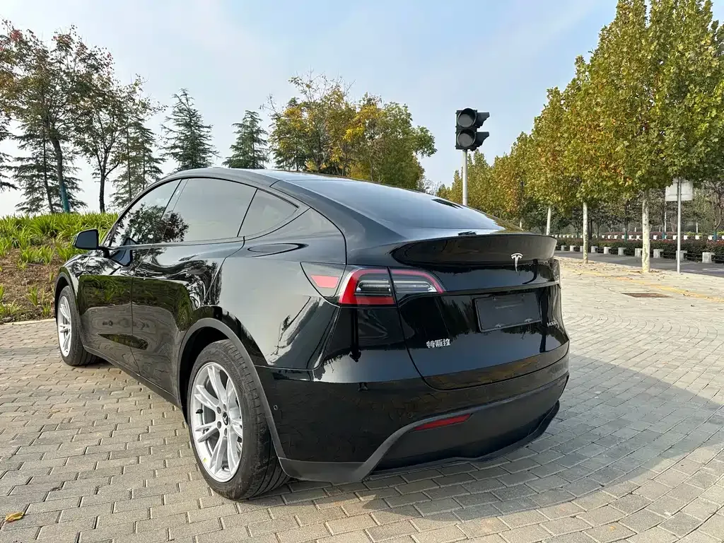 Tesla Model Y 2023 из CN, фото 5