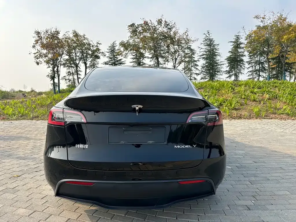 Tesla Model Y 2023 из CN, фото 6