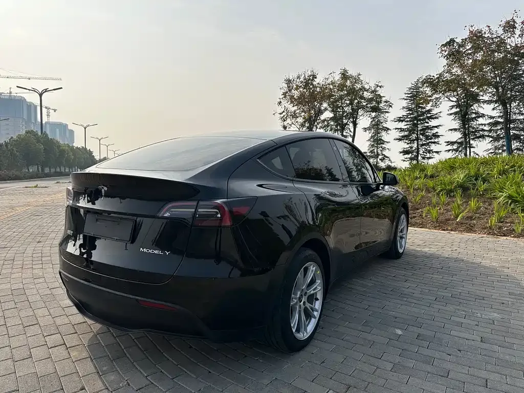Tesla Model Y 2023 из CN, фото 7