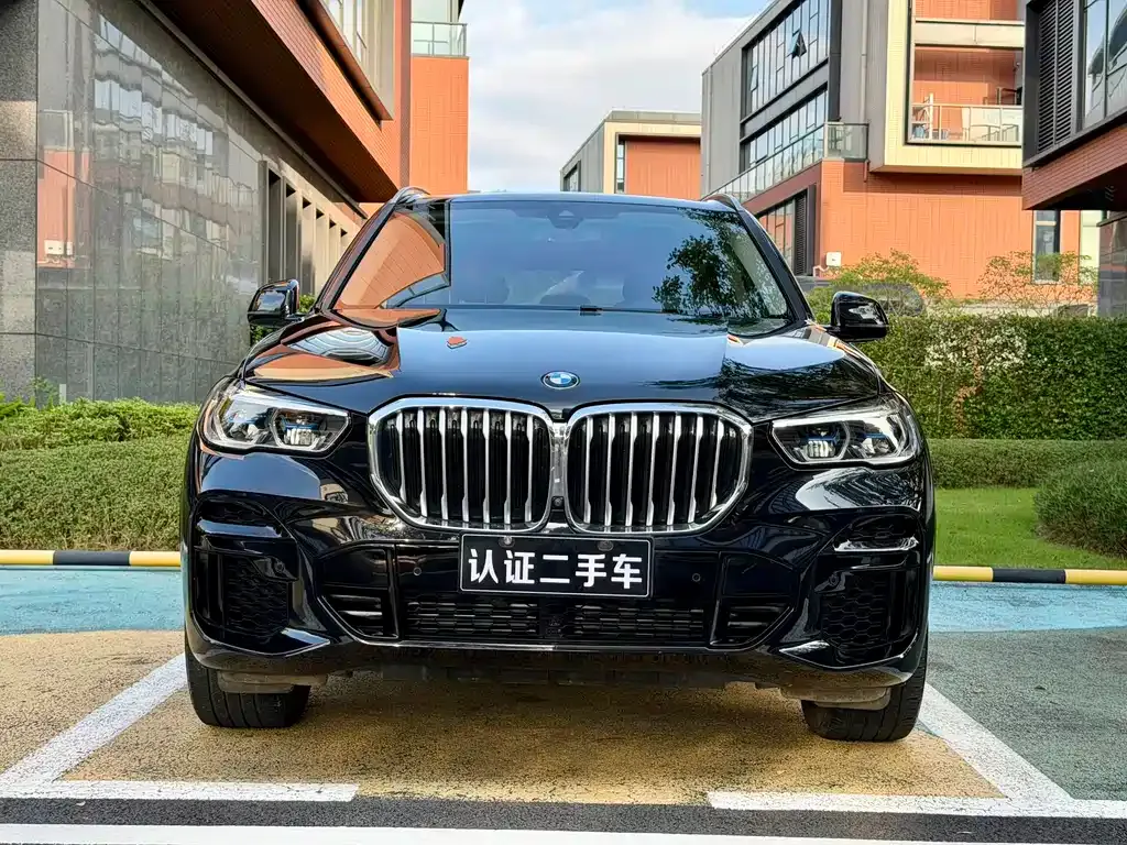 BMW X5 (Import) — фото 2