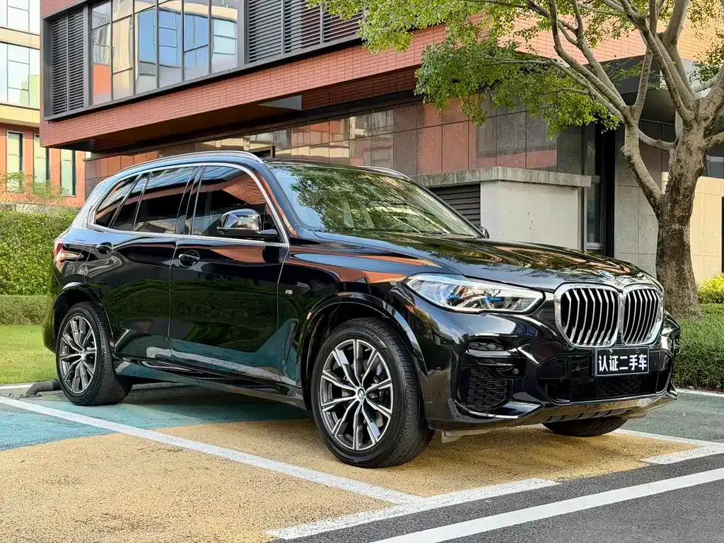 BMW X5 (Import) — фото 3