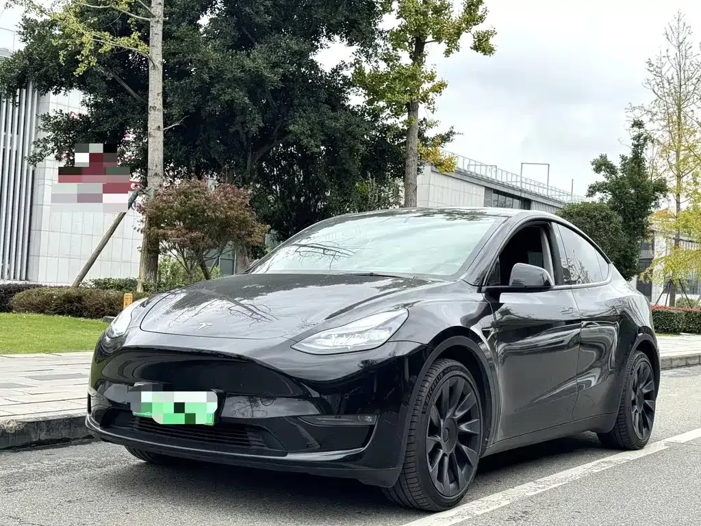 Tesla Model Y 2021 из CN, фото 1