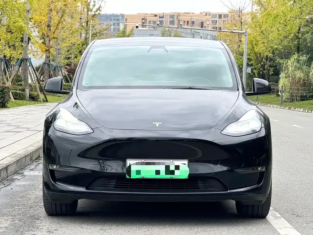 Tesla Model Y 2021 из CN, фото 2