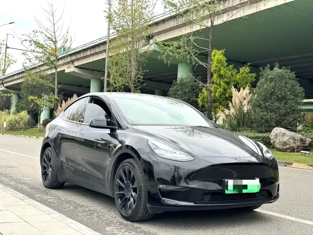 Tesla Model Y 2021 из CN, фото 3
