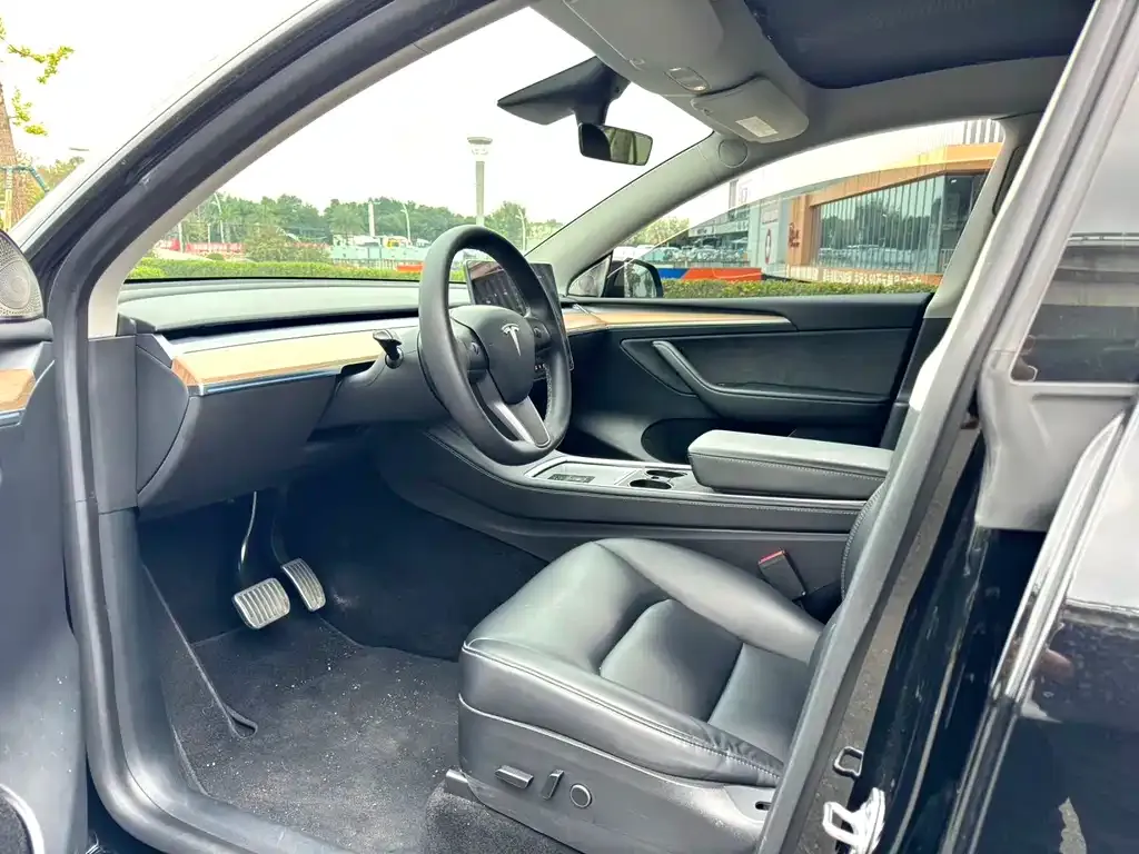 Tesla Model Y 2021 из CN, фото 4