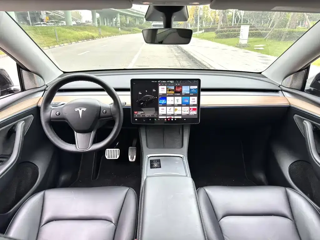 Tesla Model Y 2021 из CN, фото 5