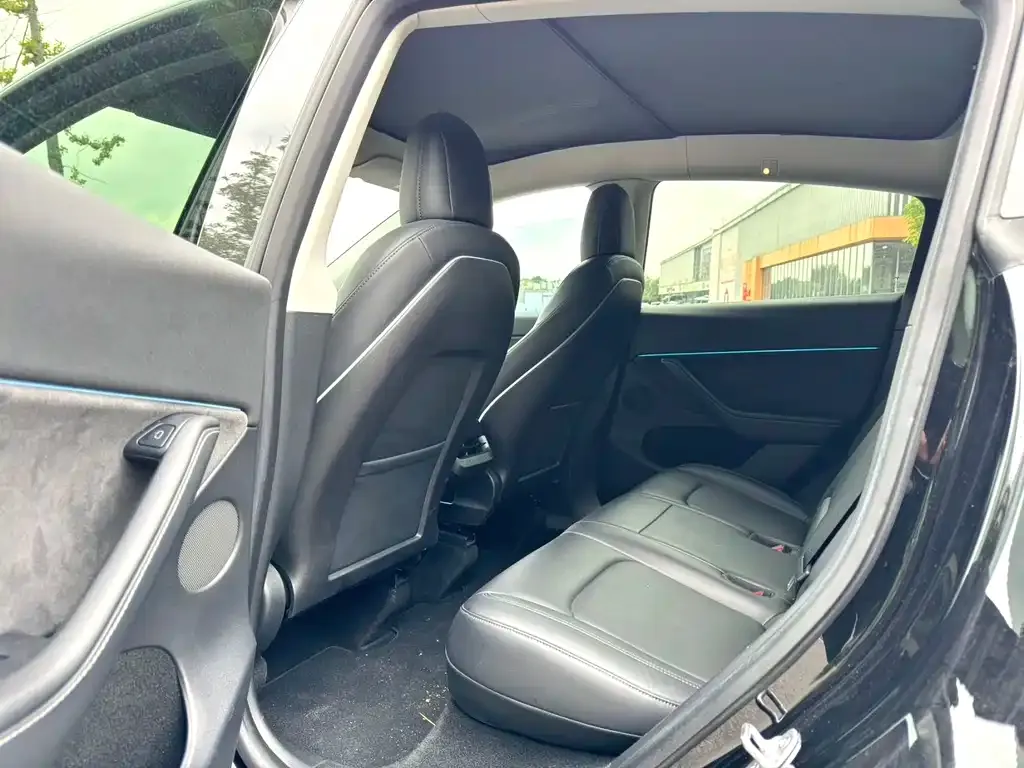Tesla Model Y 2021 из CN, фото 6