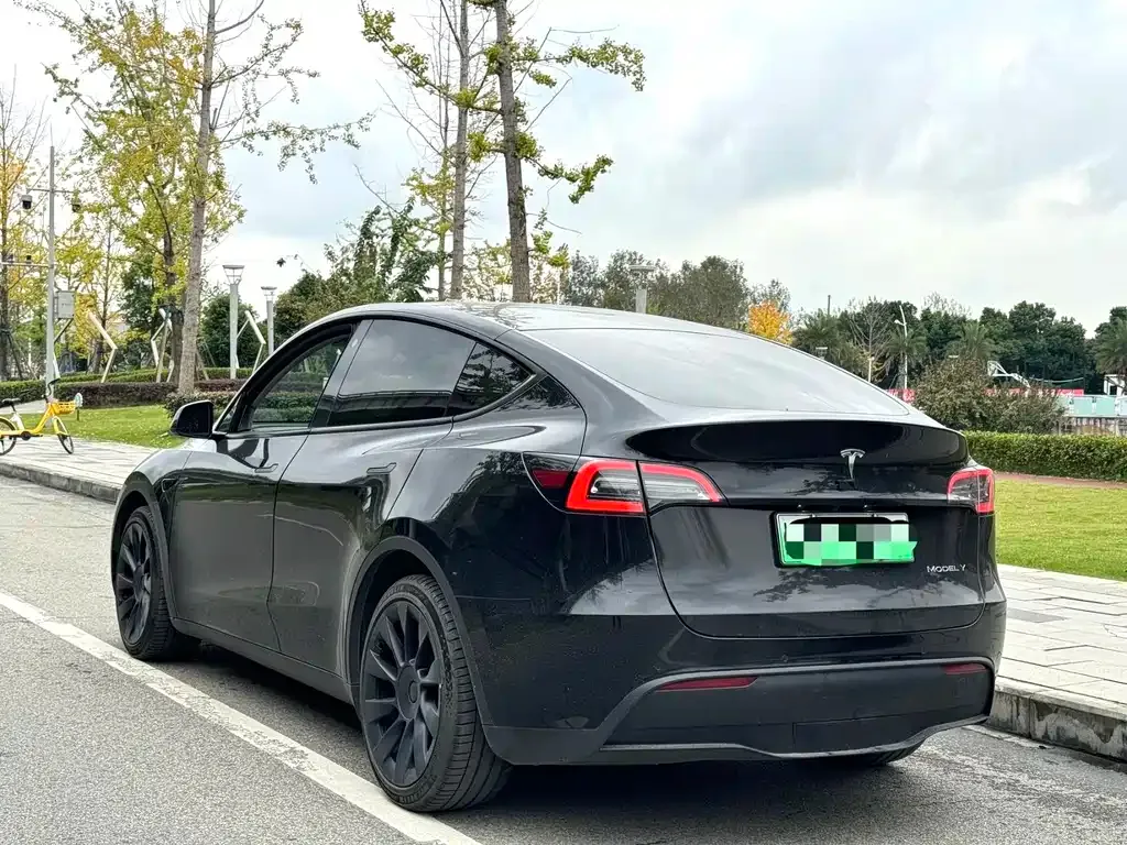 Tesla Model Y 2021 из CN, фото 7