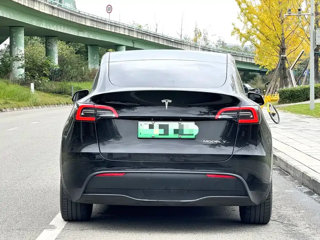 Tesla Model Y 2021 из CN, фото 8