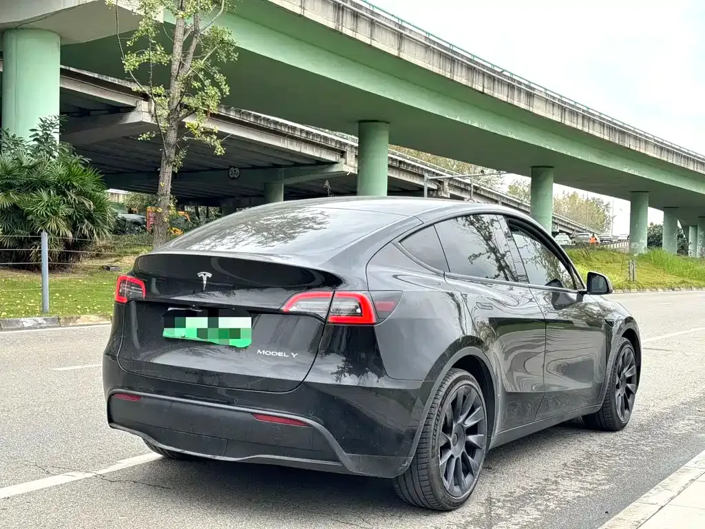Tesla Model Y 2021 из CN, фото 9