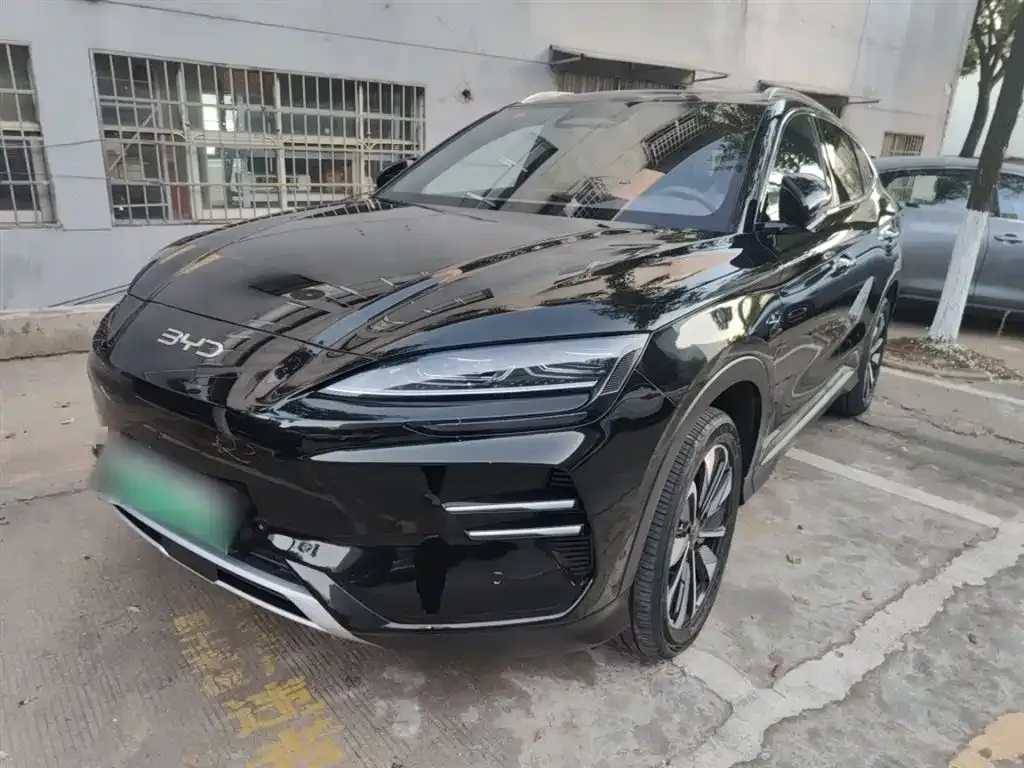 BYD PLUS New Energy 2025 из CN, фото 2