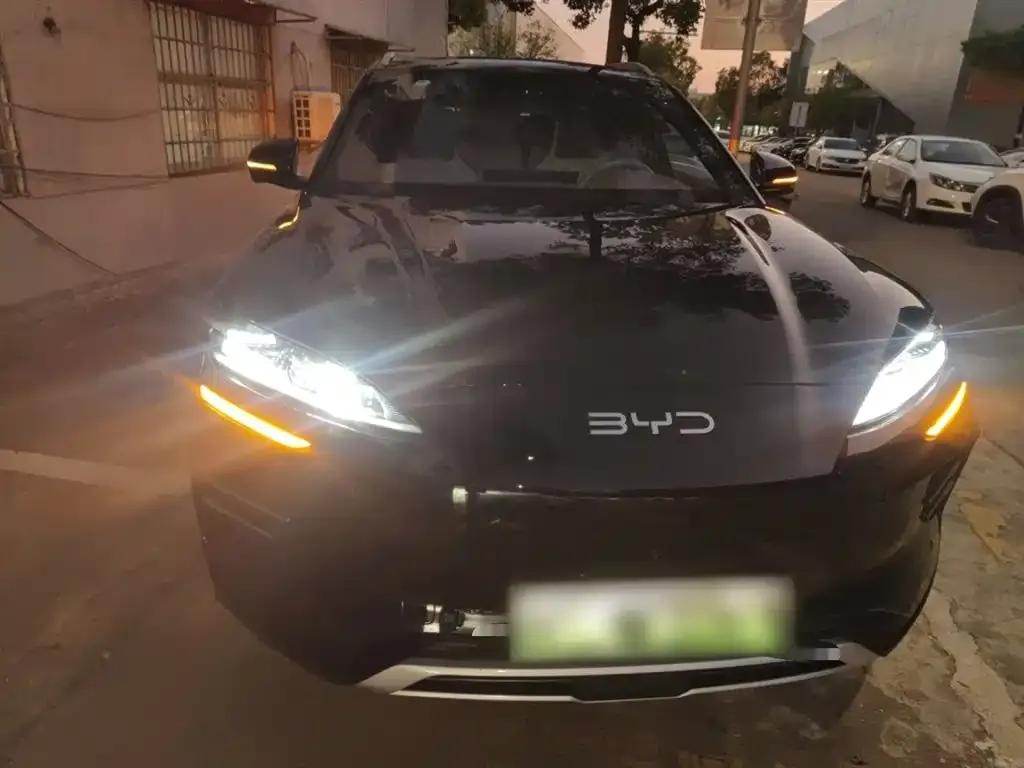 BYD PLUS New Energy 2025 из CN, фото 3