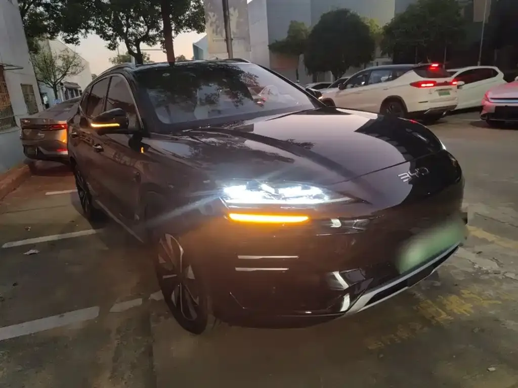 BYD PLUS New Energy 2025 из CN, фото 4