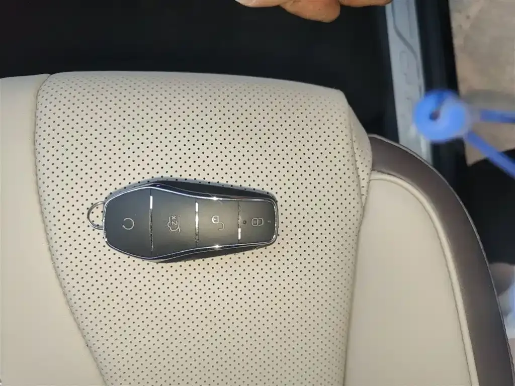 BYD PLUS New Energy 2025 из CN, фото 9