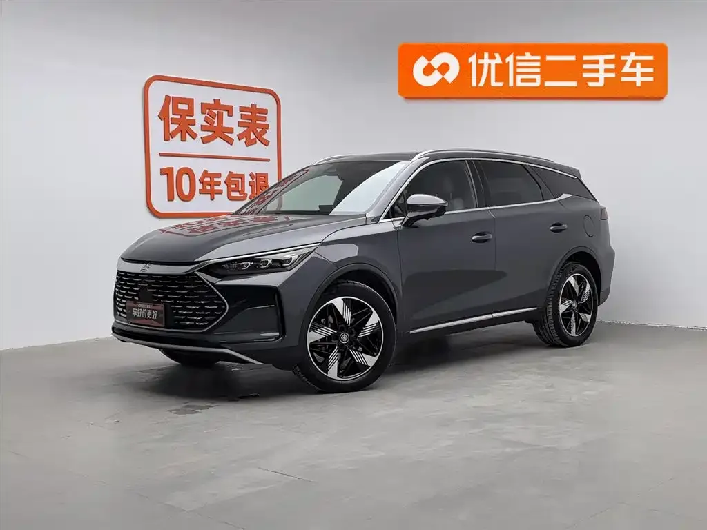 BYD Tang New Energy 2024 из CN, фото 1
