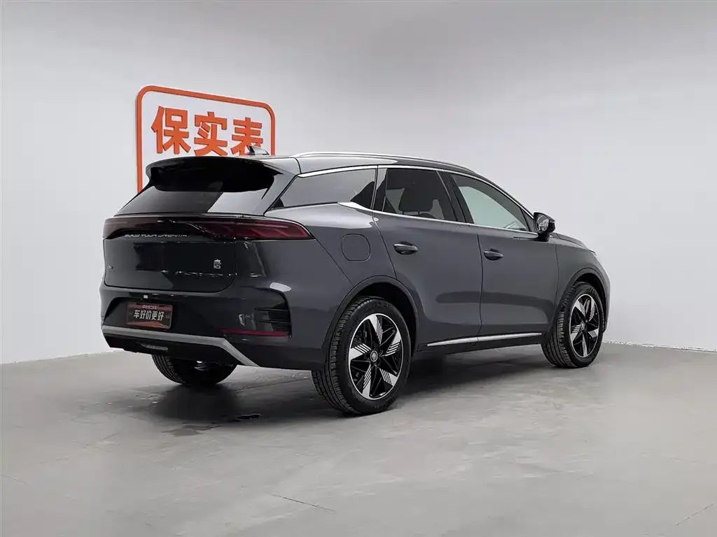 BYD Tang New Energy 2024 из CN, фото 2