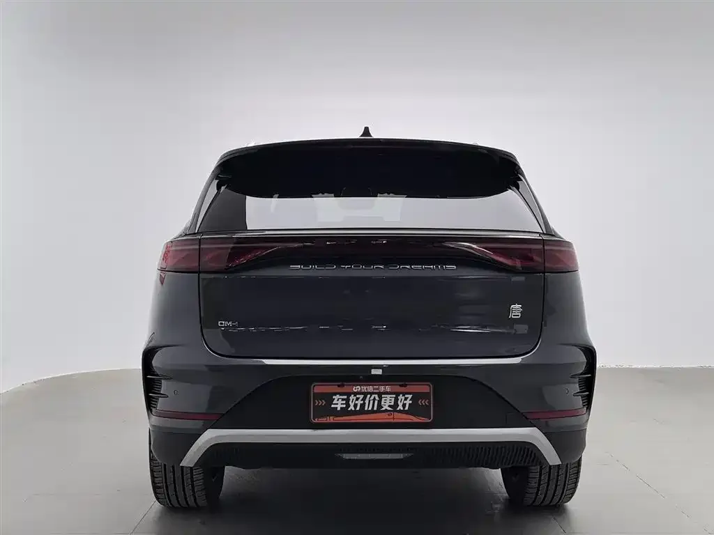 BYD Tang New Energy 2024 из CN, фото 4