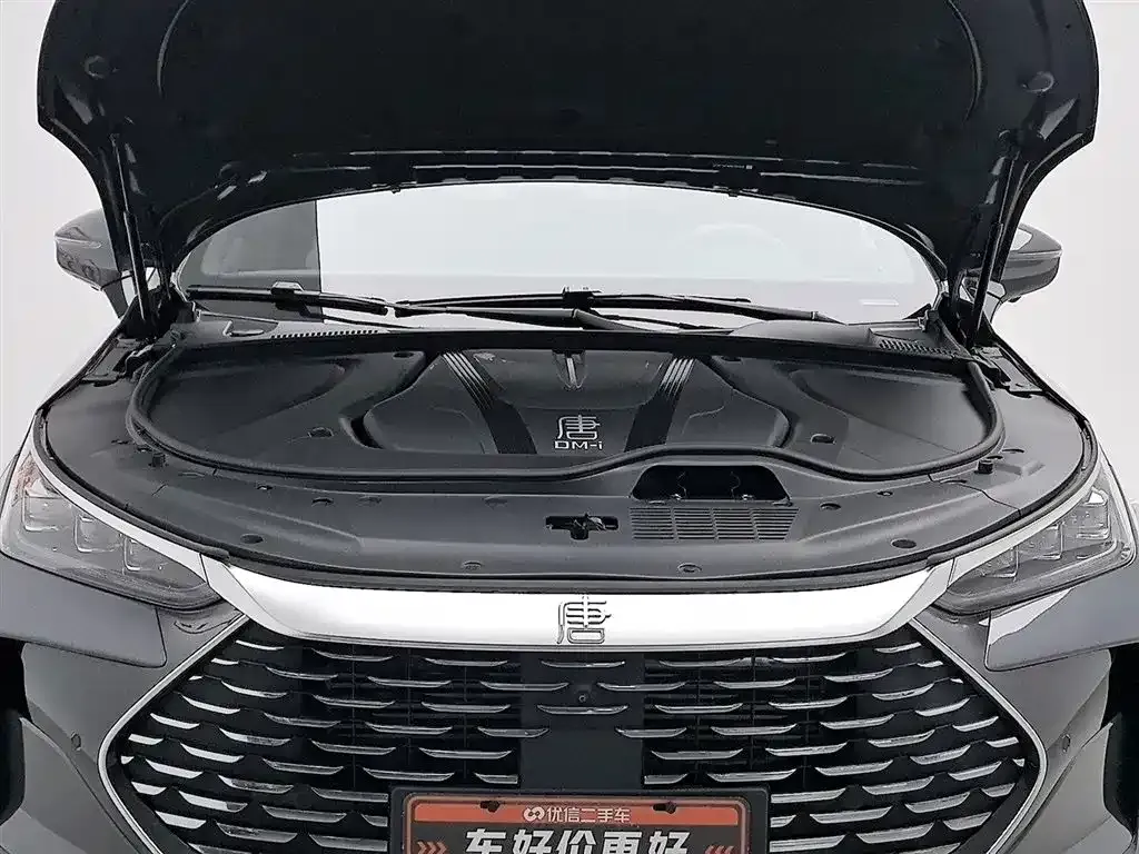 BYD Tang New Energy 2024 из CN, фото 6