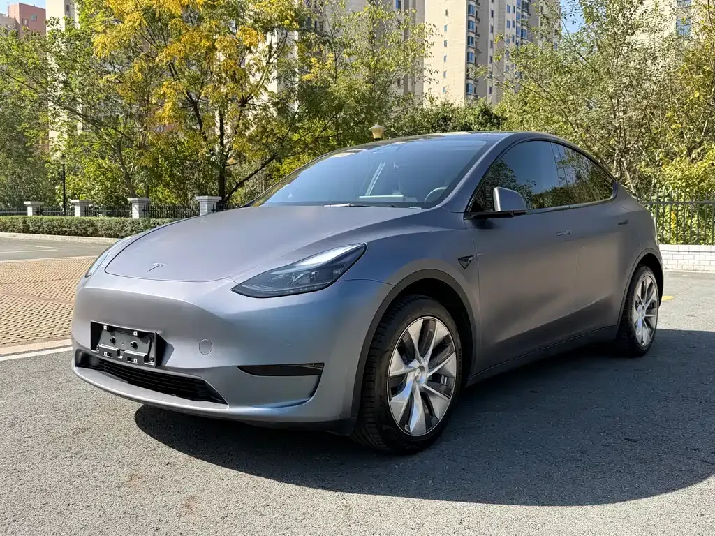 Tesla Model Y — фото 1