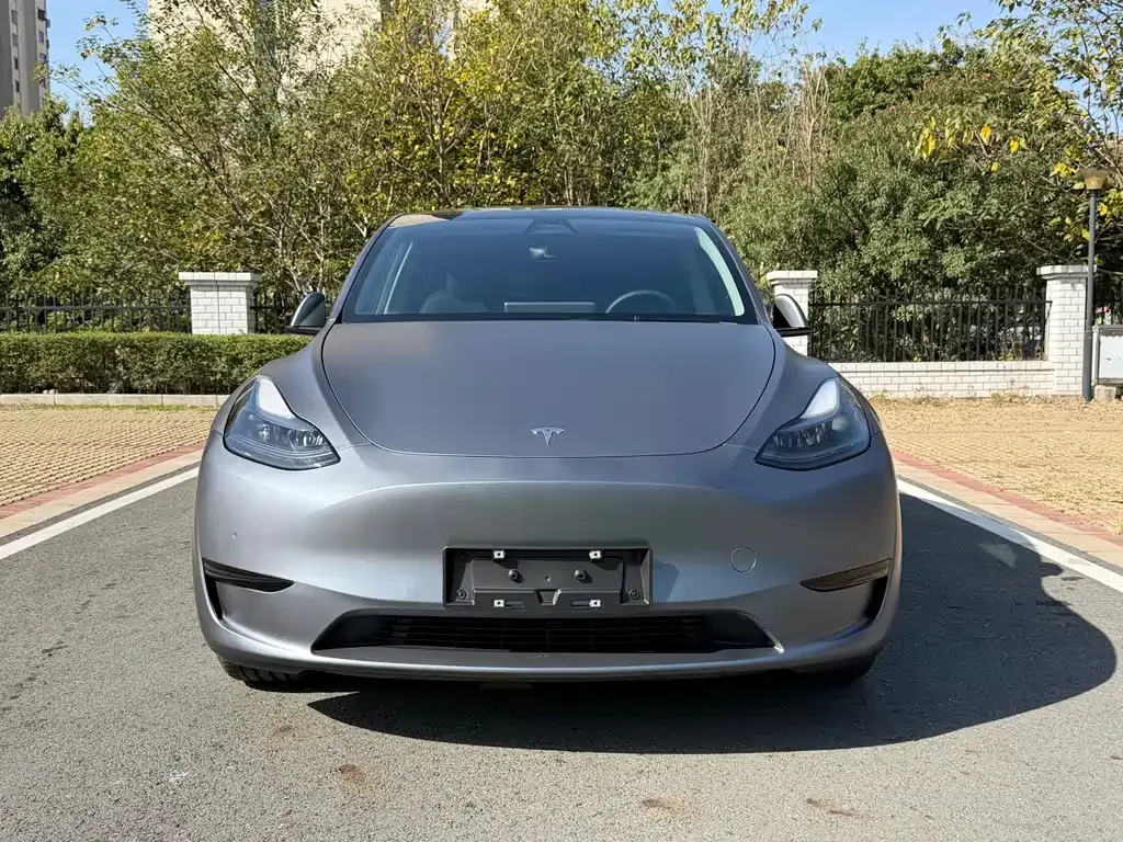 Tesla Model Y — фото 2