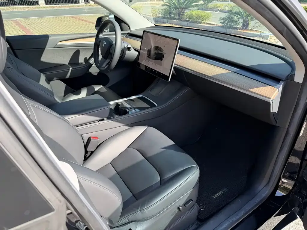 Tesla Model Y — фото 6