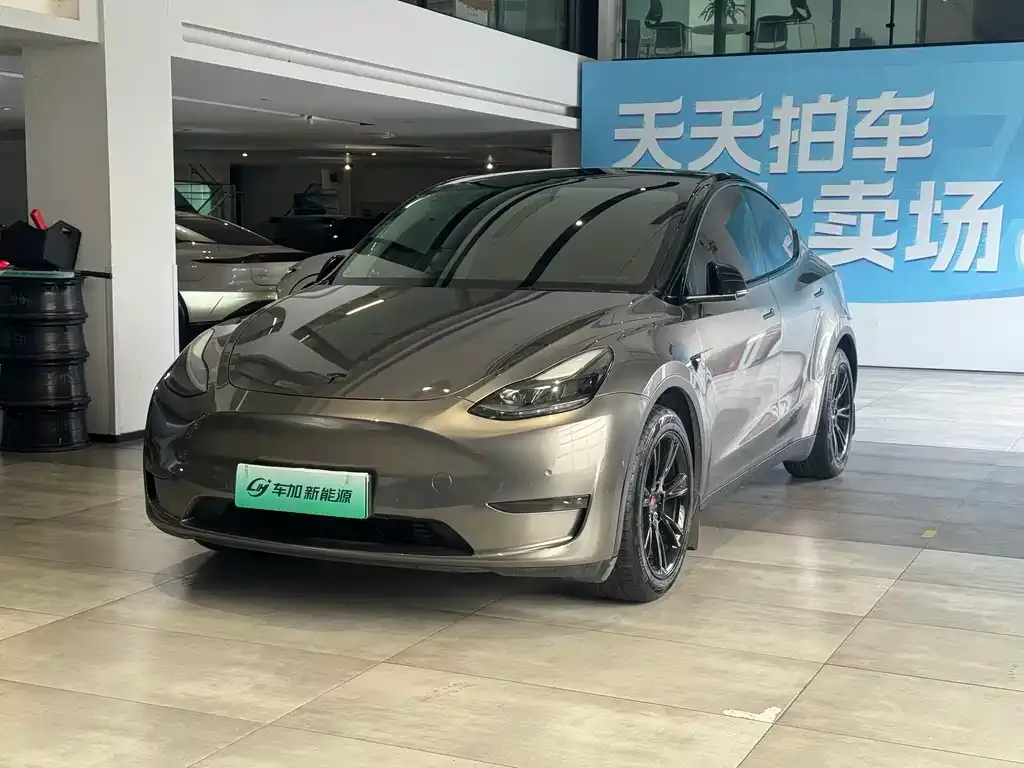 Tesla Model Y — фото 1