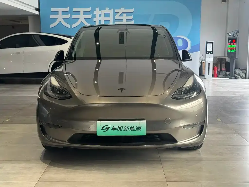 Tesla Model Y — фото 2