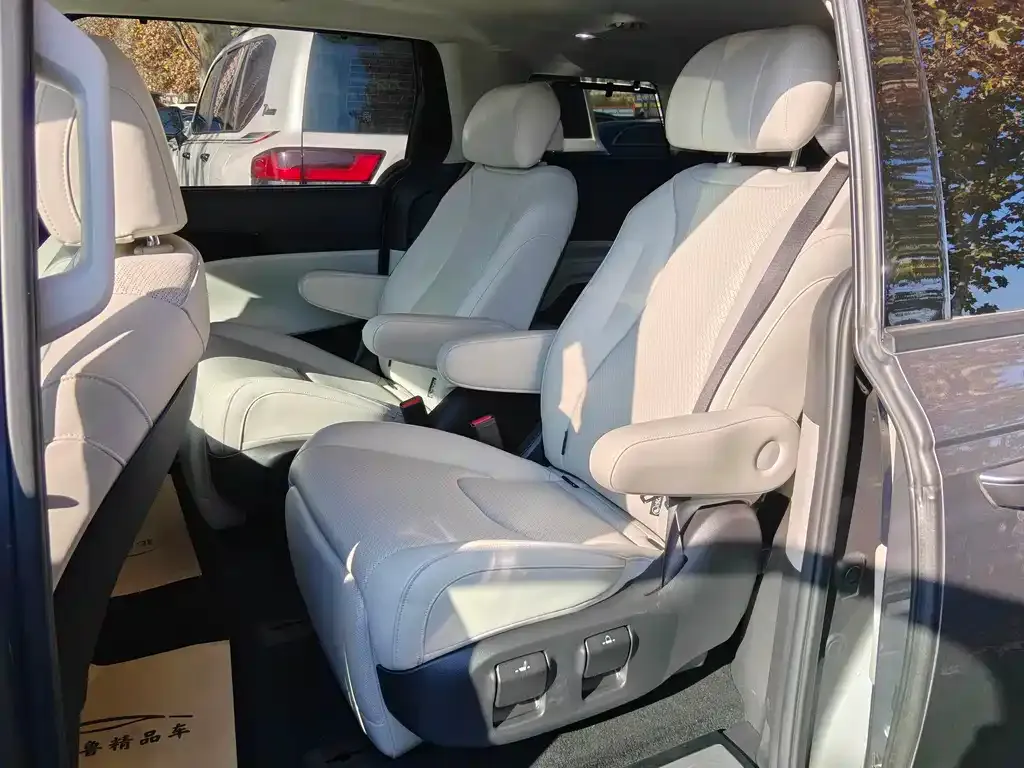 Kia Carnival — фото 10