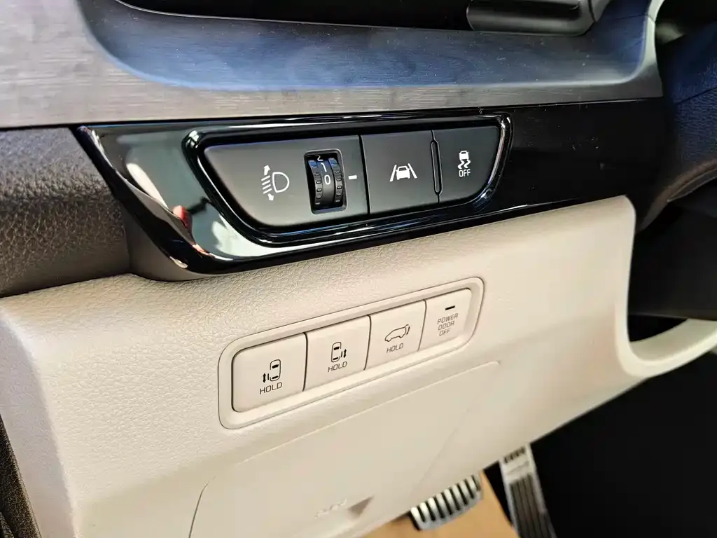 Kia Carnival — фото 9