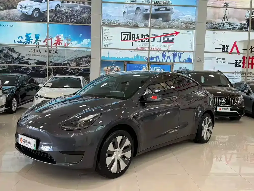 Tesla Model Y — фото 1