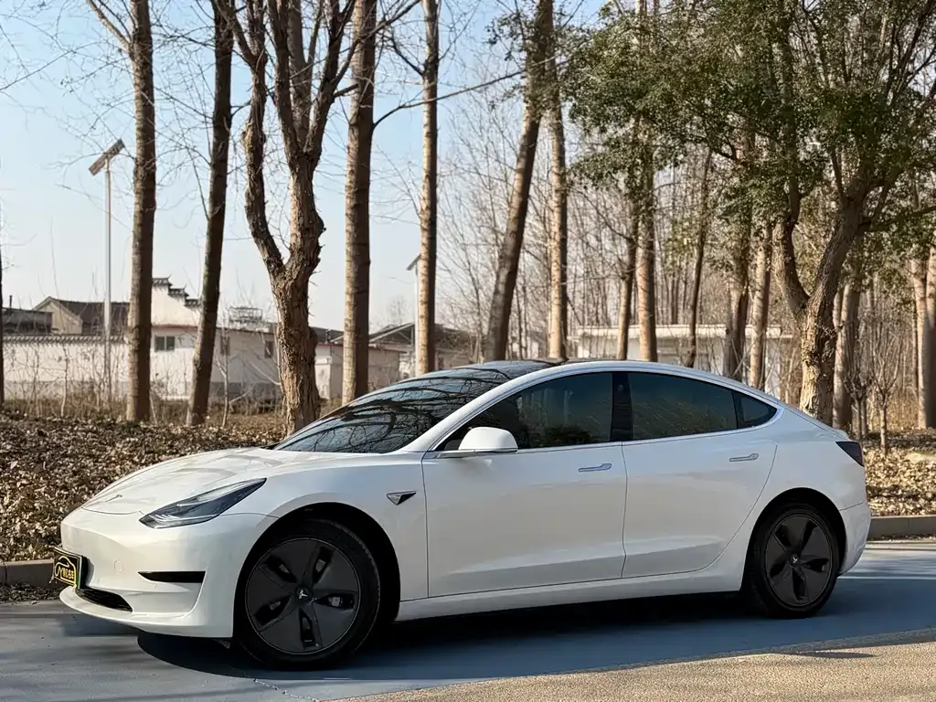 Tesla Model 3 2022 из CN, фото 1