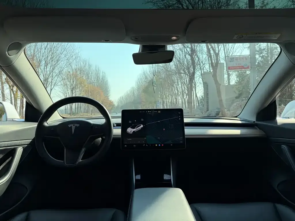 Tesla Model 3 2022 из CN, фото 10