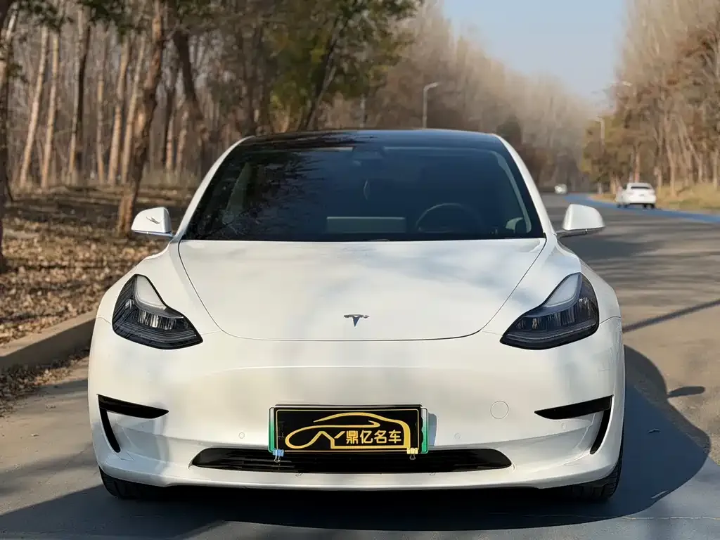 Tesla Model 3 2022 из CN, фото 2