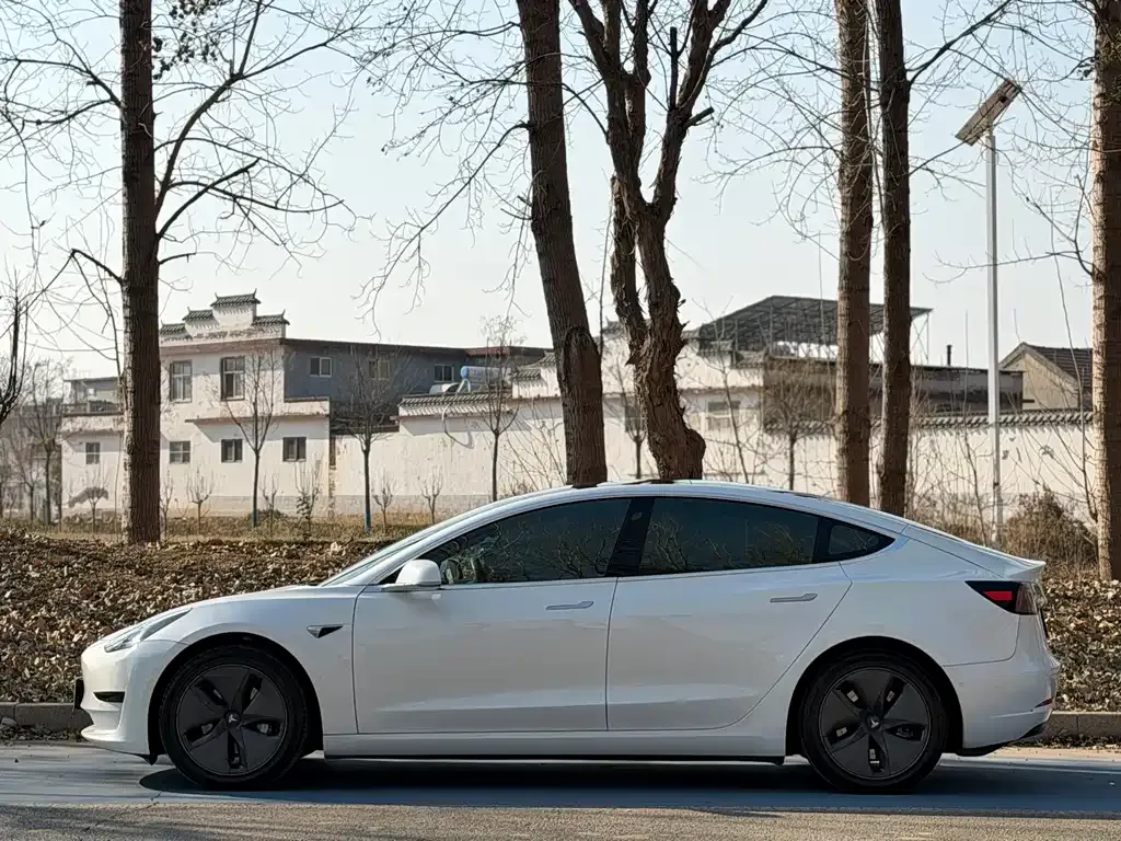Tesla Model 3 2022 из CN, фото 3