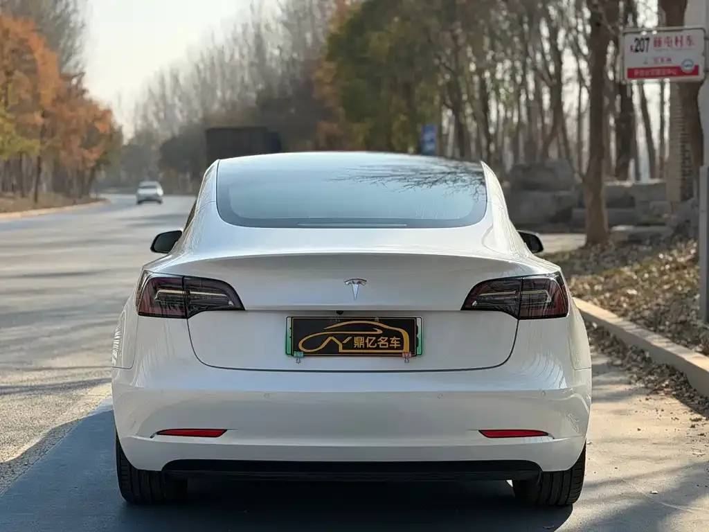 Tesla Model 3 2022 из CN, фото 5
