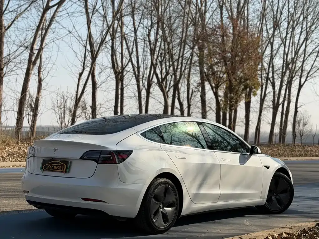 Tesla Model 3 2022 из CN, фото 6