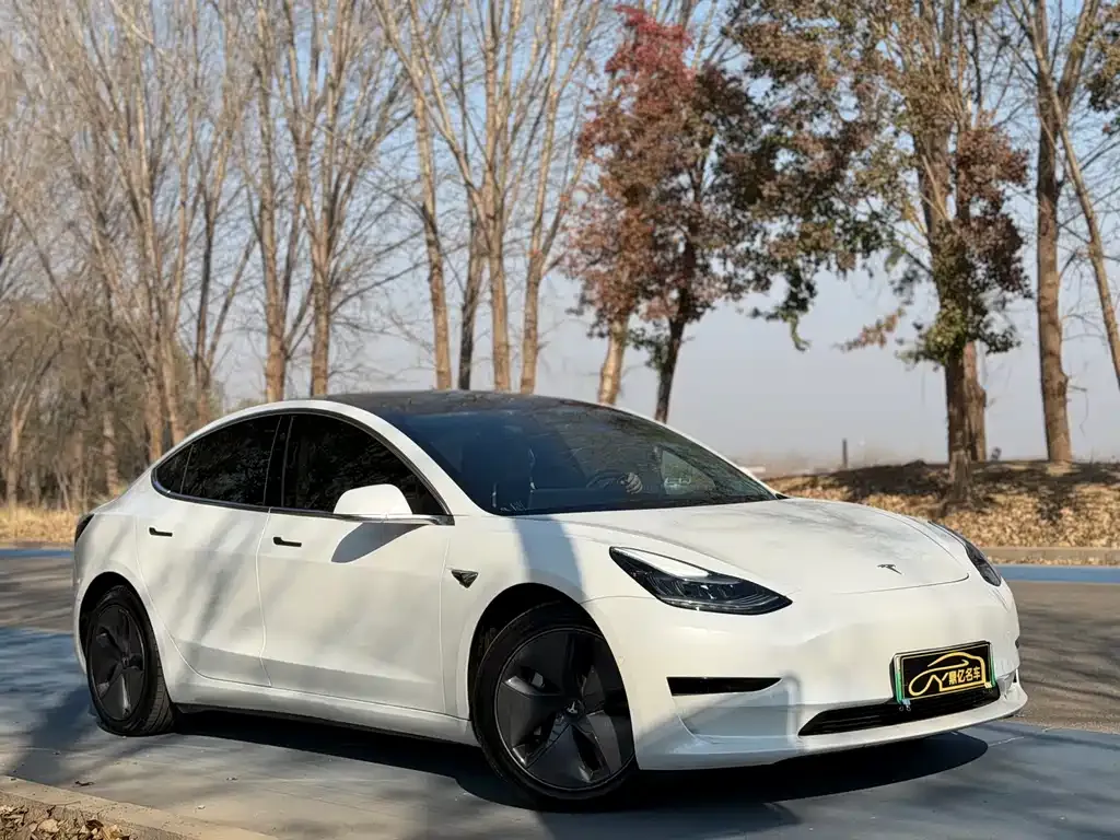 Tesla Model 3 2022 из CN, фото 7