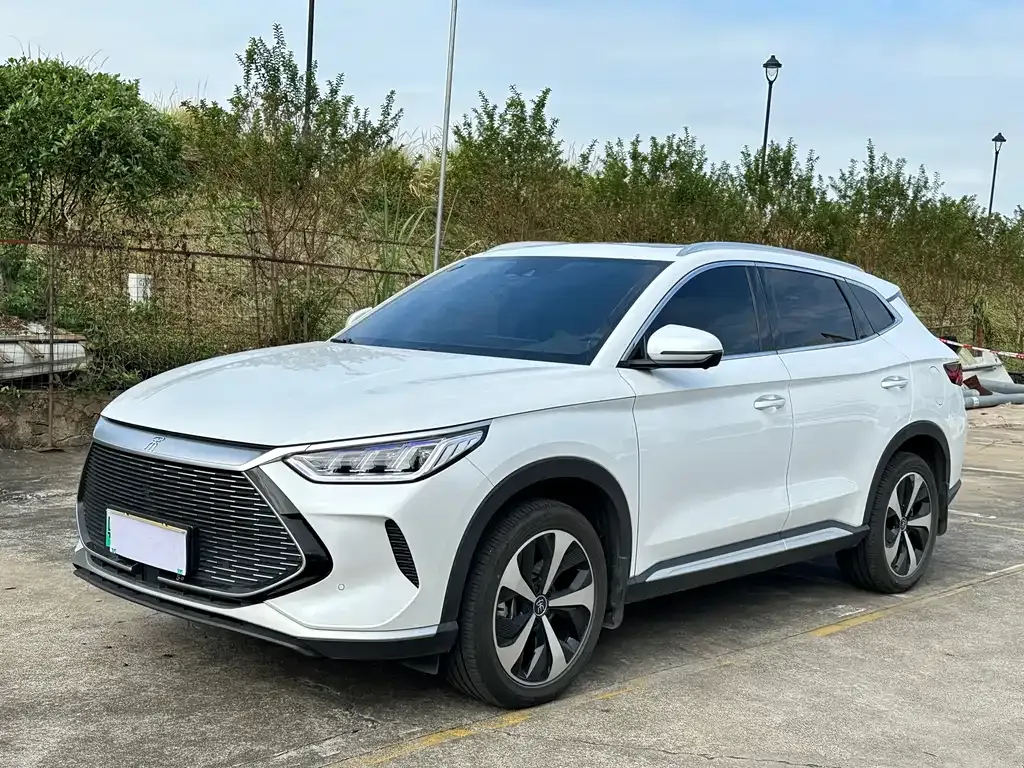 BYD PLUS New Energy — фото 1