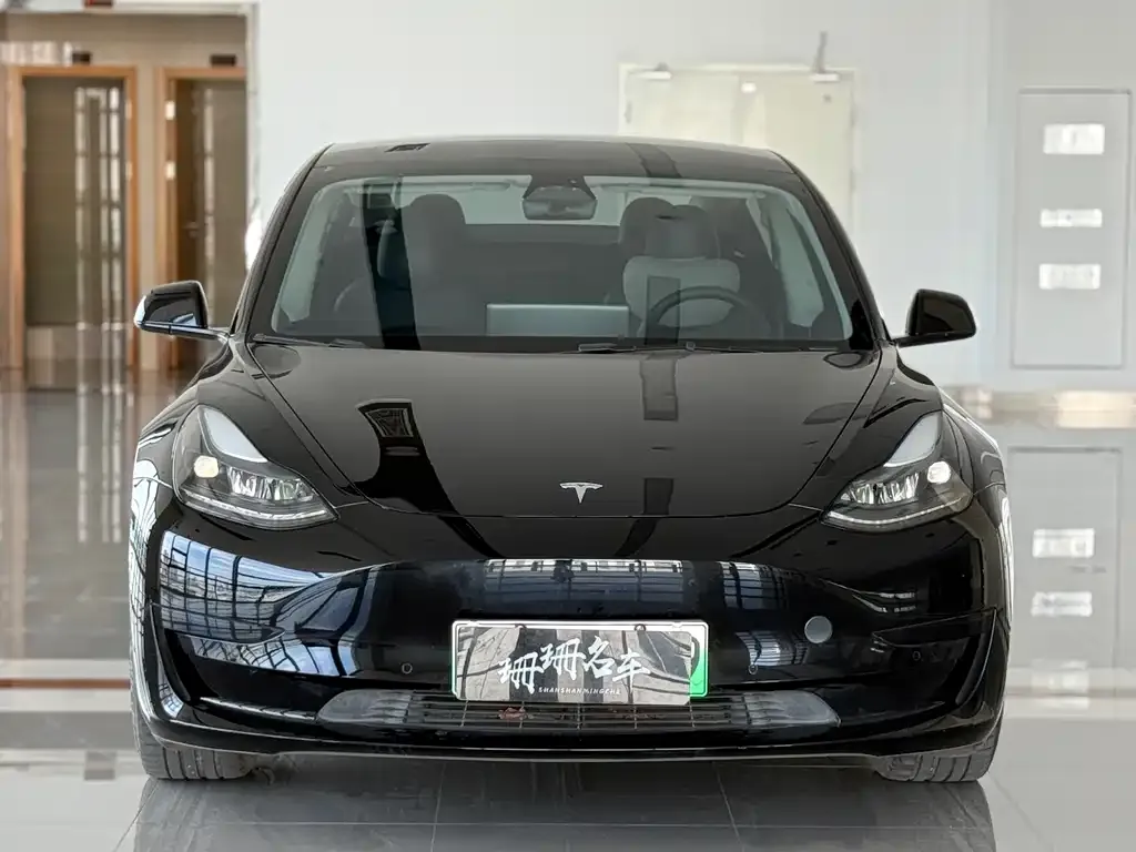 Tesla Model 3 2022 из CN, фото 2