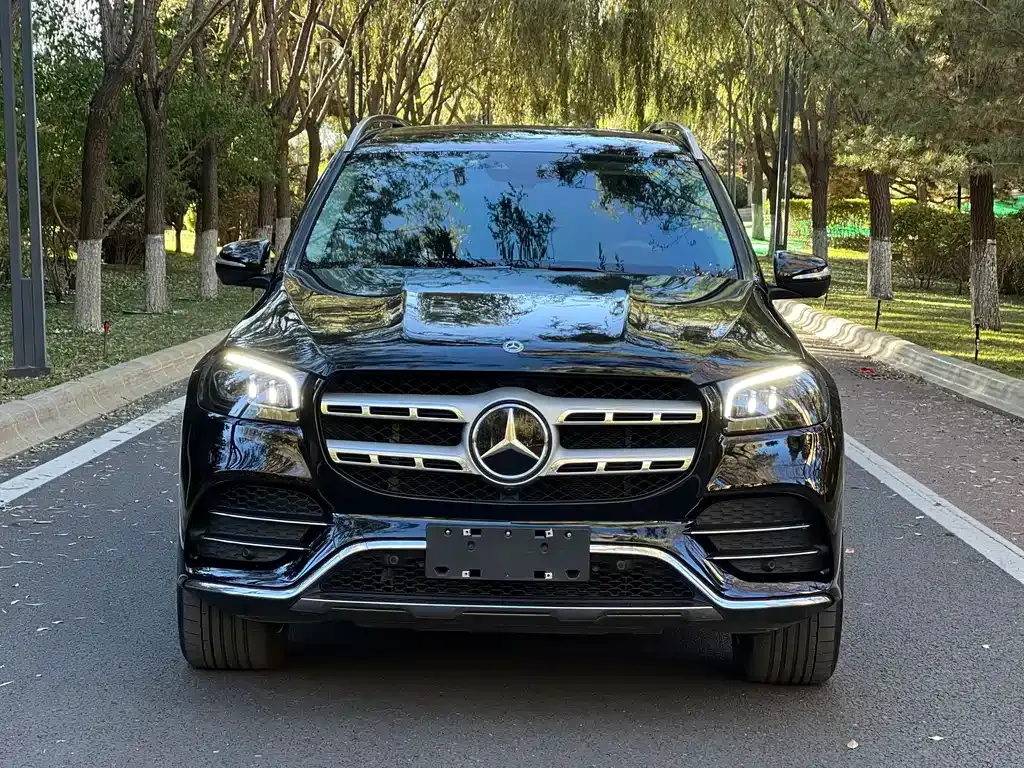 Mercedes-Benz GLS 2021 из CN, фото 5