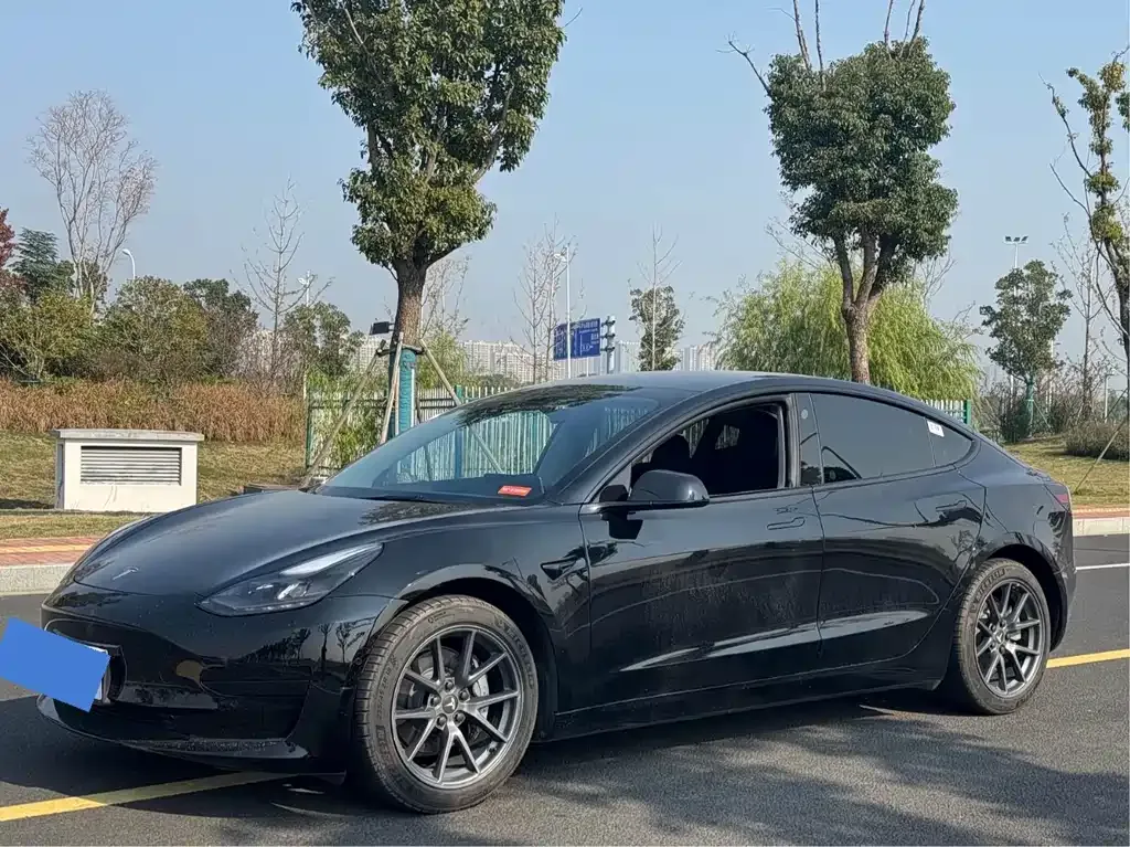 Tesla Model 3 2022 из CN, фото 1