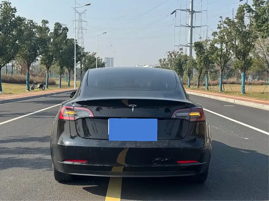 Tesla Model 3 2022 из CN, фото 2