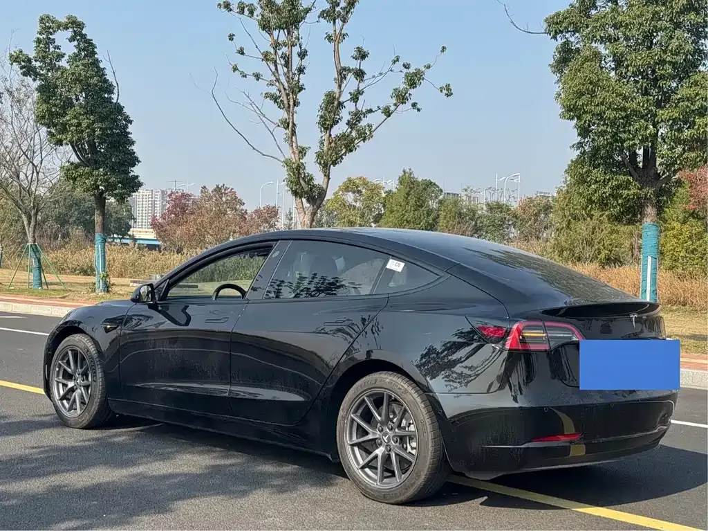 Tesla Model 3 2022 из CN, фото 3