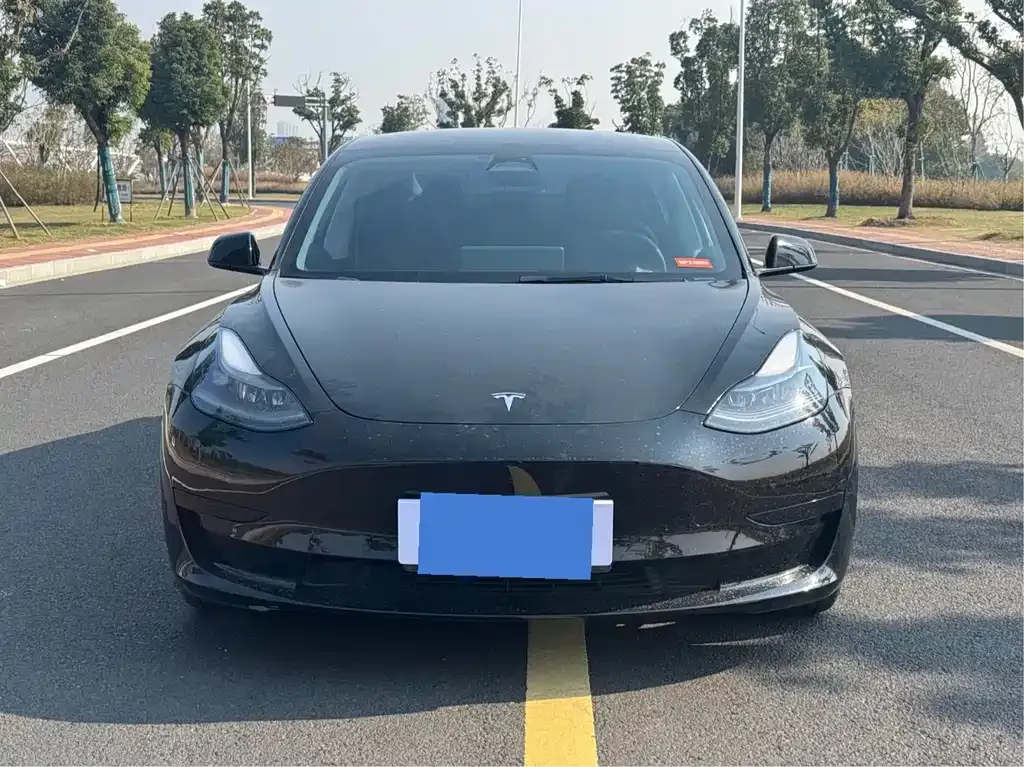 Tesla Model 3 2022 из CN, фото 4