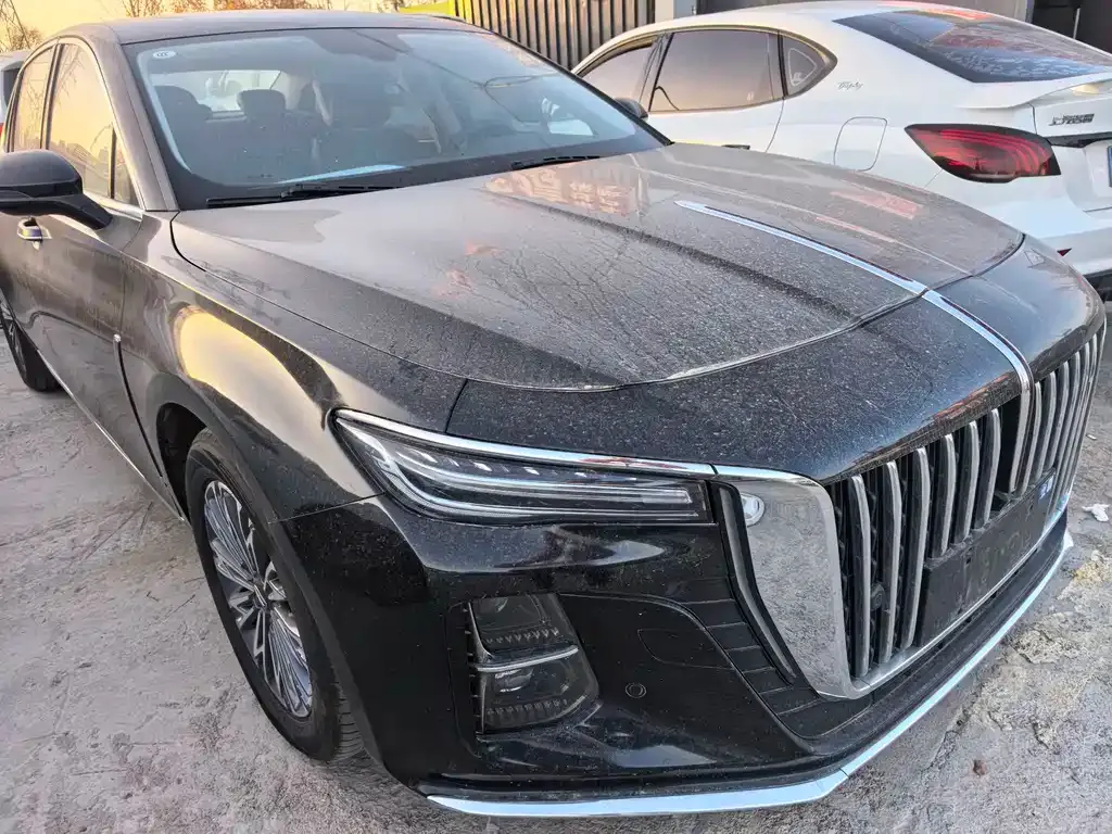 Hongqi H5 2023 из CN, фото 3