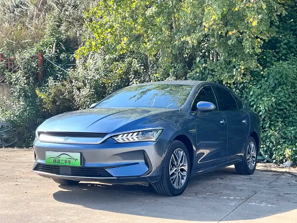 BYD Qin PLUS 2024 из CN, фото 1