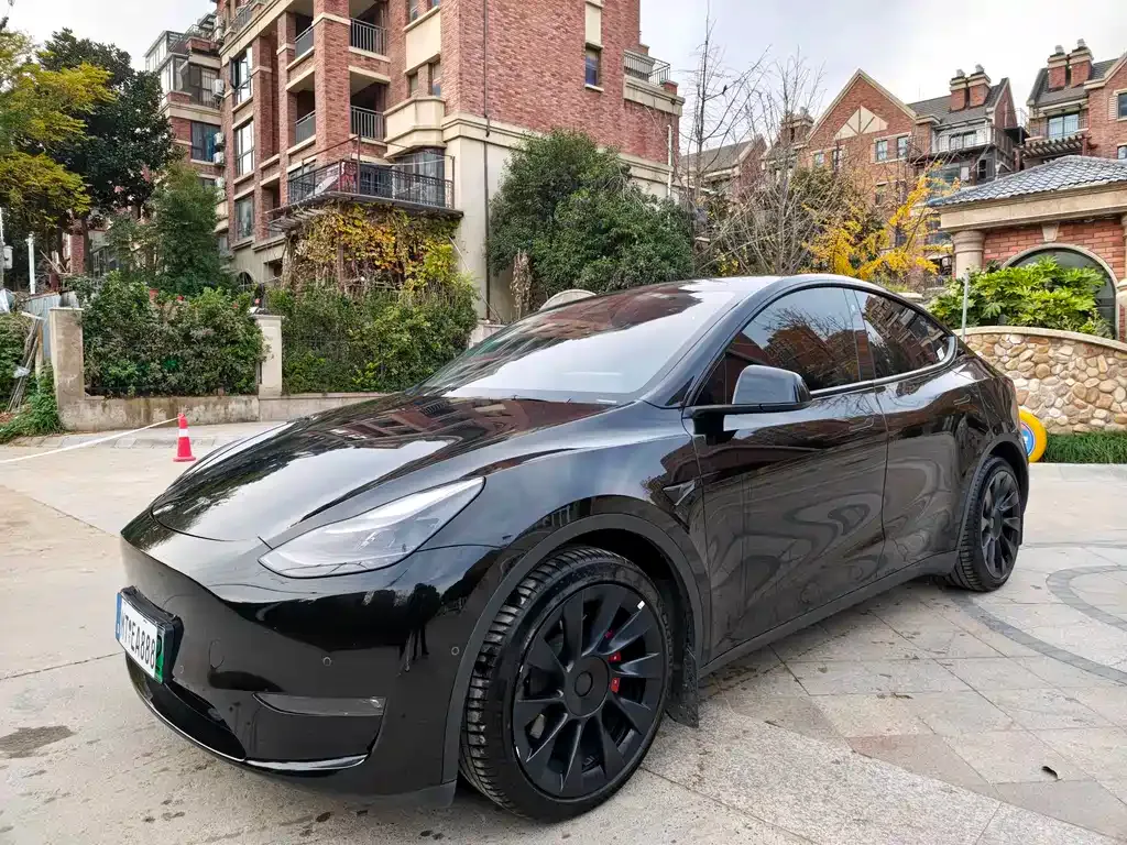 Tesla Model Y — фото 1