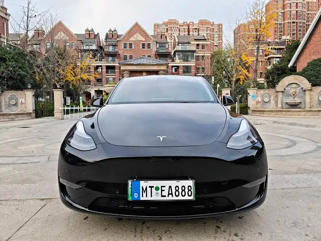 Tesla Model Y — фото 2