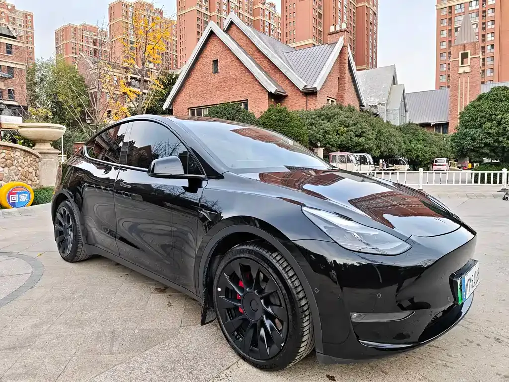 Tesla Model Y — фото 3